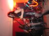 DSC00617.JPG
