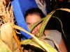 DSC01166.JPG